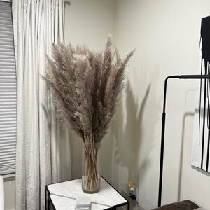 XLarge Natural Pampas Grass 6 Stems 43”- 45” Tall Natural Taupe Color